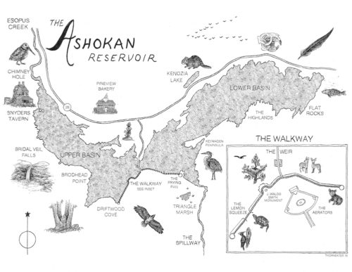 Ashokan-map-©-Will-Lytle-Reservoir-Year-Nina-Shengold