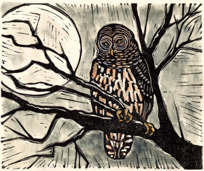 Owl-©-Carol-Zaloom-Reservoir-Year-Nina-Shengold